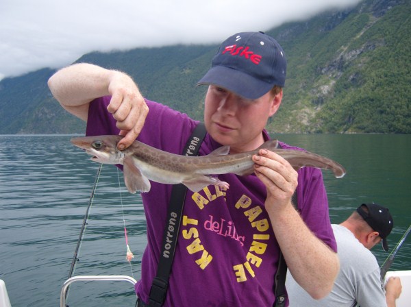 hvordan skrive om seg selv Namsos hvordan skrive om seg selv Namsos